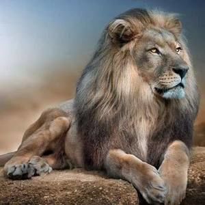 Meet your Posher, Emilio